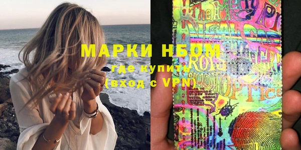 индика Гусиноозёрск