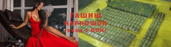 индика Гусиноозёрск