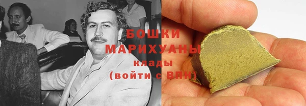 индика Гусиноозёрск