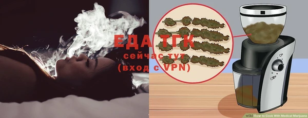 индика Гусиноозёрск