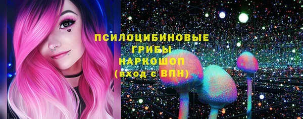индика Гусиноозёрск