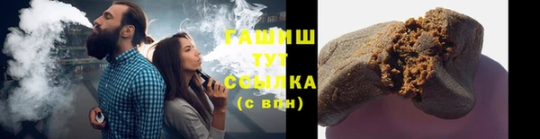 индика Гусиноозёрск