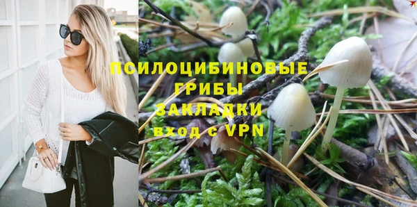 не бодяженный Гусев