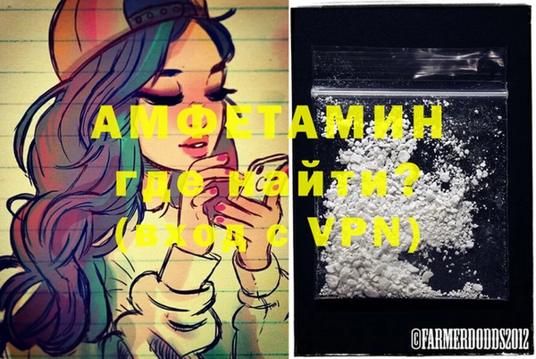 индика Гусиноозёрск
