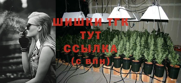 индика Гусиноозёрск
