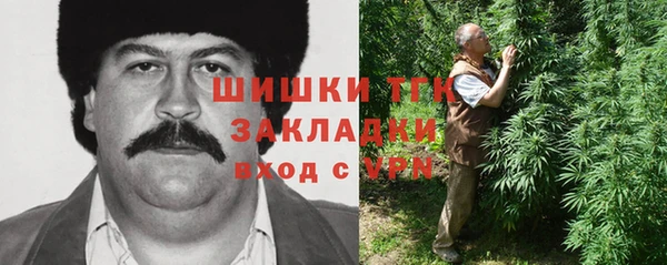 индика Гусиноозёрск