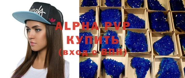 индика Гусиноозёрск