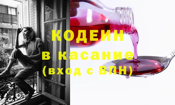 индика Гусиноозёрск