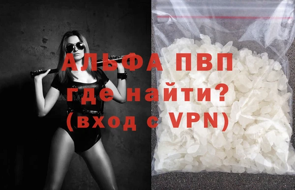индика Гусиноозёрск