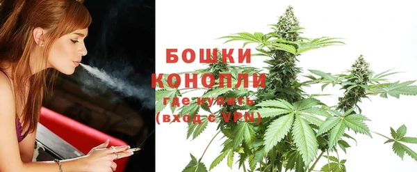 индика Гусиноозёрск