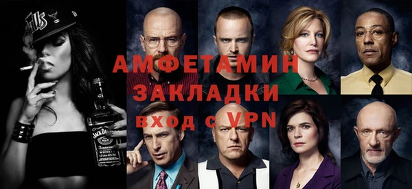 индика Гусиноозёрск