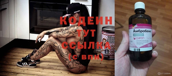 не бодяженный Гусев